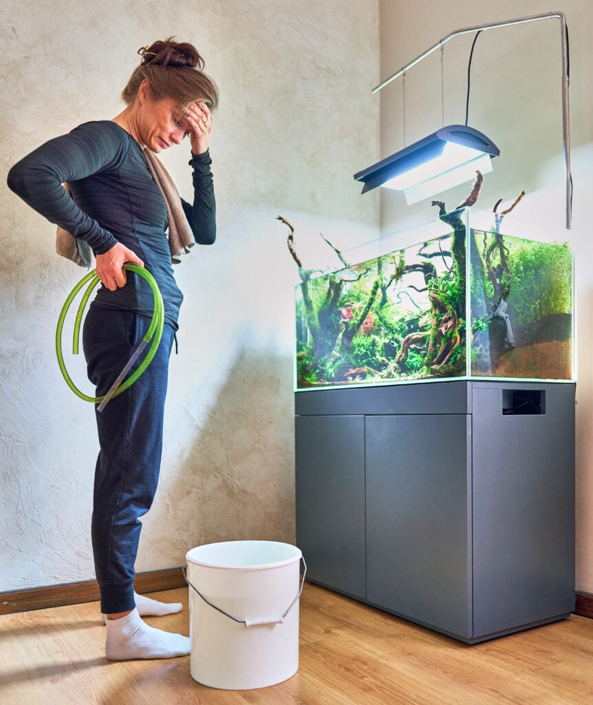 Can a Power Station Run an Aquarium During an Outage