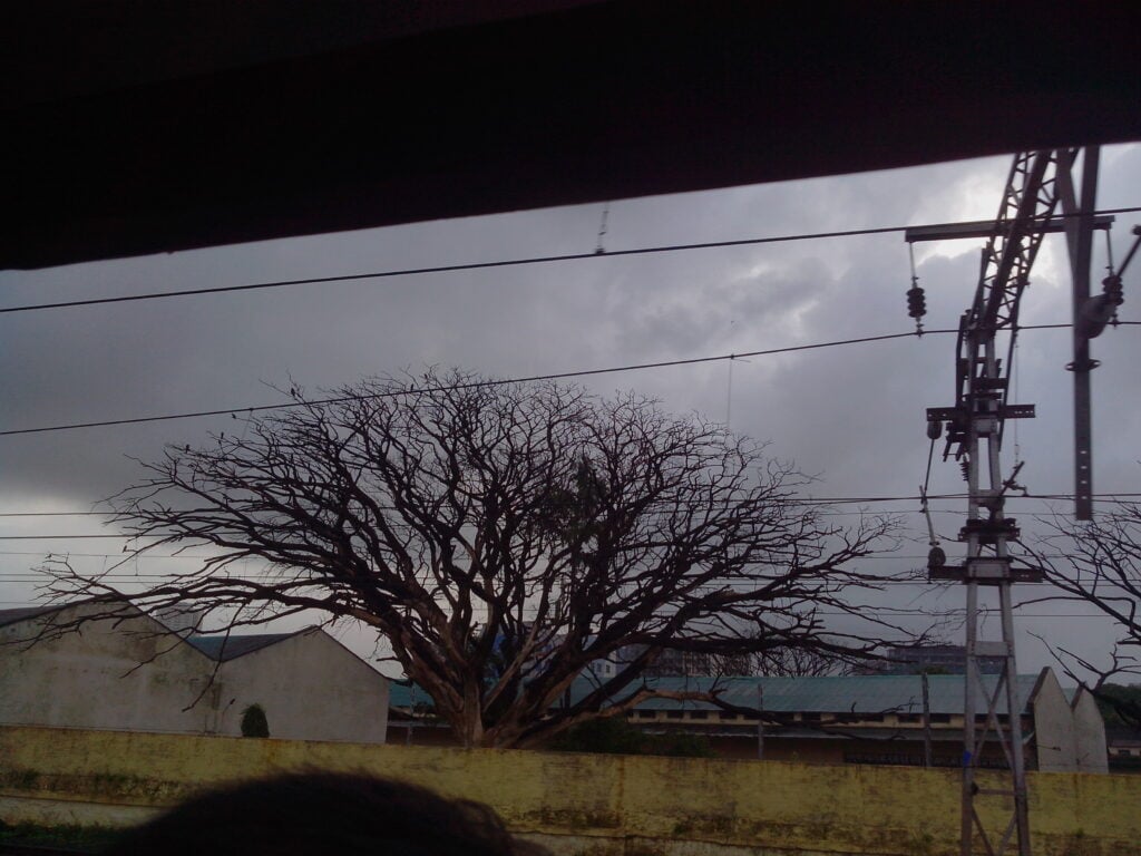 What Can a Power Station Run During a Power Outage